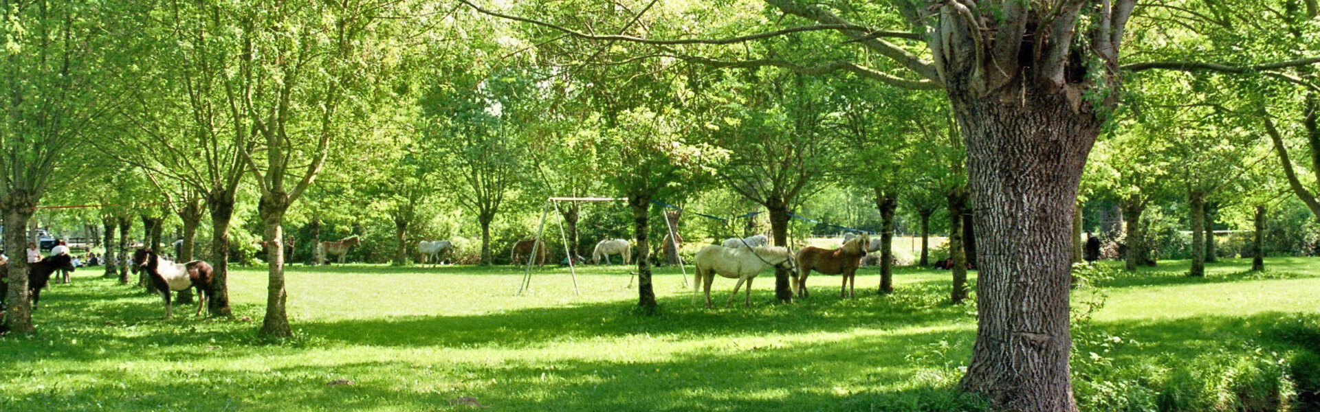 Informations sur la commune de Val de Mignon (79) Deux-Sèvres